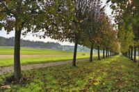 Cjp_2009_10_29_145655 (1)_HDR-D1.jpg